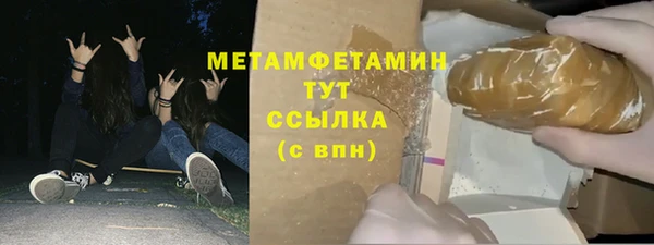 прущие грибы Надым