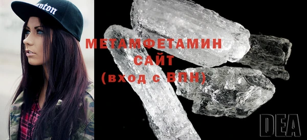 прущие грибы Надым