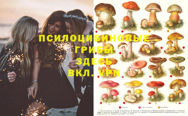 PSILOCYBIN Володарск