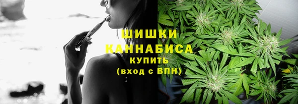 прущие грибы Надым