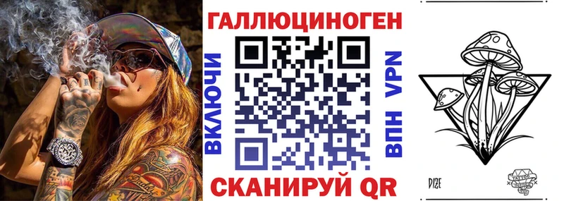 сайты даркнета наркотические препараты  цены   Курчалой  Псилоцибиновые грибы Psilocybine cubensis  hydra зеркало 