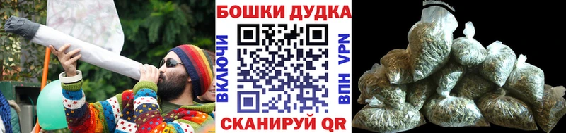 Конопля тримм  kraken зеркало  мориарти официальный сайт  Курчалой 