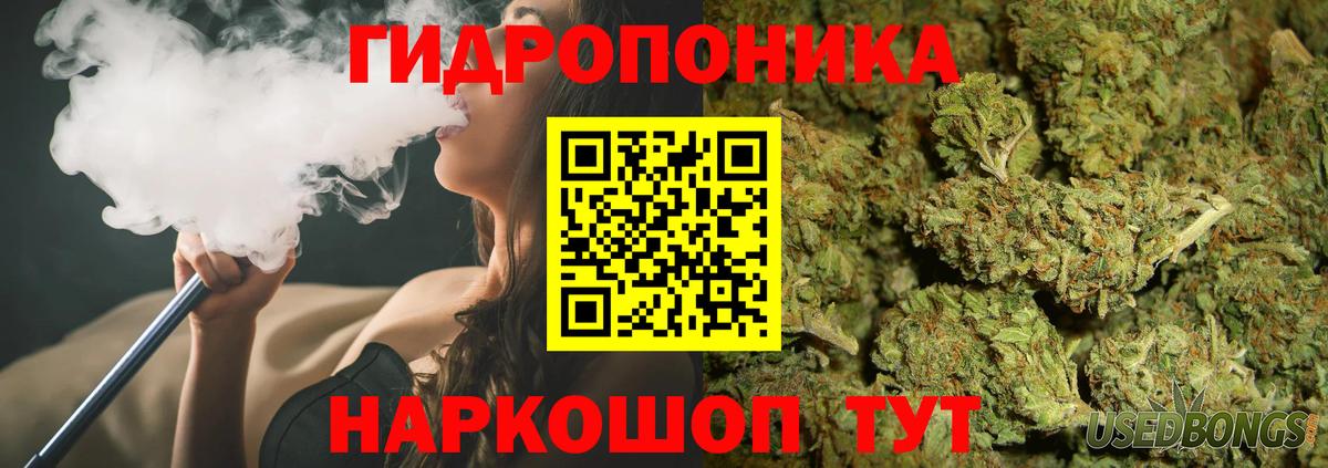 Курчалой  Бошки марихуана план  МАРИХУАНА VHQ  Вход с VPN  Шишки марихуана VHQ  Бошки марихуана THC 21% 